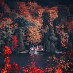 Halima qureshi - @qureshi.halima - Instagram