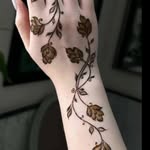 Halima Qureshi - @halimaqureshi513 - Instagram