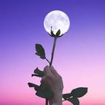 Halima Rose - Facebook