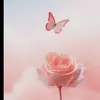 halimarose44 - @halimarose44 - TikTok