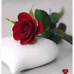 Halima Salam - @halima.salam.4800 - Instagram