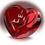 Halima Saleh - @saleh.halima - Instagram