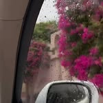 Halima Saleh - @halima_salh_ - Instagram