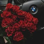 @halima__shah - Instagram