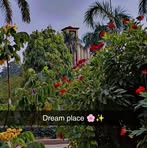 Halima Shah - Facebook
