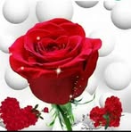 Halima Sharmin - Facebook