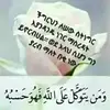 ሀሊማ ብቸኝዋ - @halimagashaw - TikTok