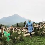 Halimah Hasan - @halimah.hasan23 - Instagram