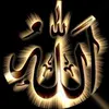 halimahhasana - @halimahhasana - TikTok