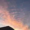 halle nelson - @halle.nelson27 - TikTok
