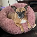 Hayley Brennan - Facebook