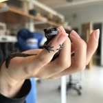 Hallie Arnold - @hallie_arnold30 - Instagram