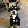 hallie.arnold11320 - @hallie.arnold11320 - TikTok