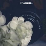 Hallie Bowman - @gabriszeskiphotography - Instagram