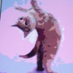 hallie cooper - @h.animals - Instagram