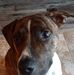 Hallie Goodwin - Facebook