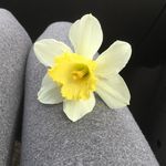 HG - @goodwin_hallie - Instagram