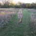 Hallie Johnson - Facebook