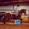 Hallie Phillips - @halliephillips8 - TikTok