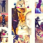 Ruby, Sadie, Hallie 💕 - @rubysadiehallie - Instagram