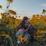 Hallie - @silverlab_hallie - Instagram