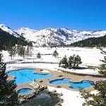Halyna Shevchuk - @halynashevchuk - Instagram