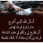 hamdi Hussein - @hamdihussein282 - Instagram