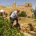 Hamid Faraji - Facebook