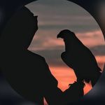 Hamid Mohammed - @amad_31_ - Instagram