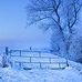 Hamid Rahimi - Facebook