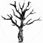Hamid Sadeghi - @3adeghi.2 - Instagram