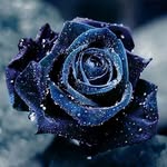 Hamid.samani - @hamid.samani949 - Instagram