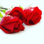 hamid-tadayon - @hamidtadayon4 - Instagram