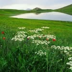 hamid tadayon - @hamid_tadayon46 - Instagram