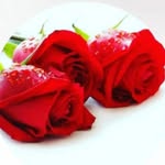 hamid.tadayon - @hamid.tadayon2 - Instagram