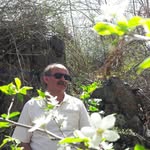 Hamidtadayon - @hamidtadayon8214 - Instagram
