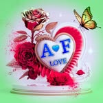 @hamid_aalam786 - Instagram