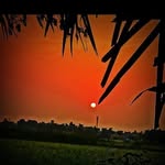 Hamid Aalam - @hamidaalam906 - Instagram