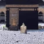 Hamida Alam - @hamidaalam37 - Instagram