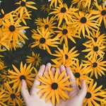 Hamida Alam - @himu.alam.52 - Instagram
