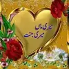 Hamida Alam - @hamidaalam02 - TikTok