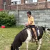 Hamida Begum - @mirsab031 - TikTok