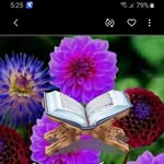 Hamida Hussain - @hamida.hussain.92 - Instagram