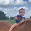 reneecookhamilton - @reneecookhamilton - TikTok