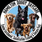 Hamilton Doggy Daycare - @hamiltondoggydaycare - Instagram
