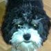 Hamish Broadbelt - Facebook