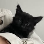 Hamish Murray - @hame_murray - Instagram