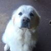 Hamish Murray - @h.murray23 - TikTok