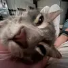 Hamish Stevenson - @hamish.stevenson - TikTok