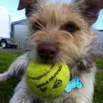 Hamish Stevenson - Facebook